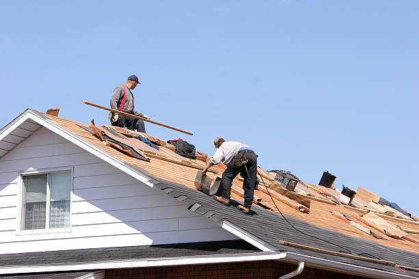 Best Skylight Installation and Repair  in Wautoma, WI